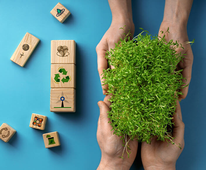 Prioritizing-Health-and-Safety--with-Phthalate-Free-Plasticizer-image